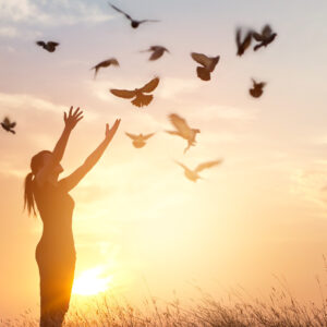 cheminer psychagogie oiseaux